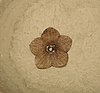 A fossil of the cocoa flower Florissantia quilchenensis that symbolizes the Stonerose Interpretive Center