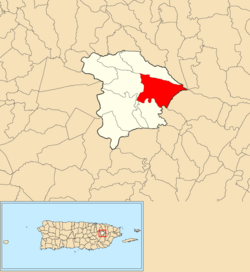 Location of Hato Nuevo within the municipality of Gurabo shown in red