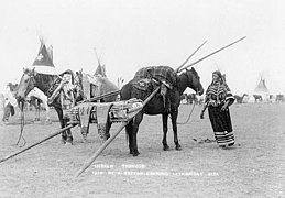 Packhorse and travois, Canada 1910