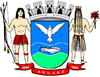 Coat of arms of Aruanã