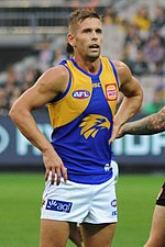 A man with brown hair in a blue guernsey with yellow shoulders stands on a grassed playing field