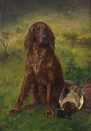Irish Setter with a duck, 1855