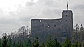 Castle Radyně