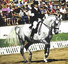 A gray horse performing in a sand ring, ridden by a woman in a dark top hat, coat and boots and white pants. In the background a white fence, small grassy area and a seated crowd are visible.