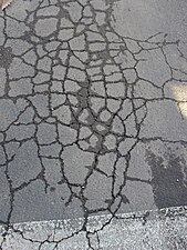 Crocodile cracking showing moisture seepage, a sign of a weakened soil structure beneath the failed asphalt