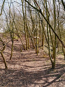 A path through woodland leading to rising ground