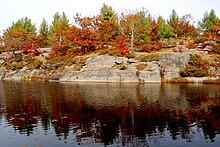 Trees and shrubs with autumn foliage on a rock shoreline