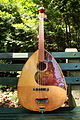 Redhead Mandocello by Nevin Fahs (luthier) - 1