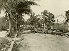 Palm trees strewn across a street