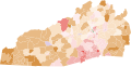 Republican primary for North Carolina's 11th district (by precinct)