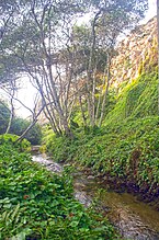 Garrapata Creek