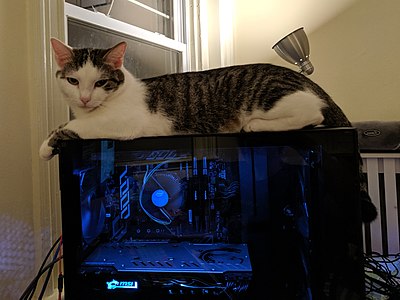 Shorthaired tabby and white cat laying on top of a PC tower