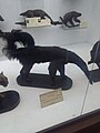 Revamped gallery of animals (specimens)