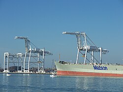 Cranes in the port