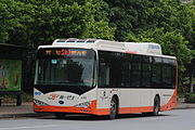 The logo of the Guangzhou-Yiqi bus company is also inspired by Bombax ceiba