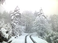 A road covered with snow in Dhanaulti