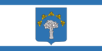 Flag of Chervyen District