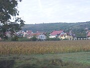 View of Ormeniș