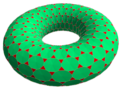 tH24×12 projected to torus
