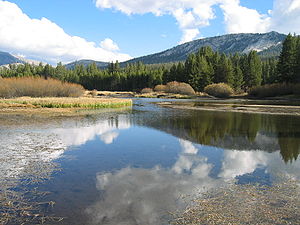 A wide spot in the Tuolumne River as it passes through Tuolumne Meadows.