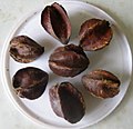 Arjuna fruits (dried)