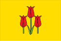 Flag of Volokonovka