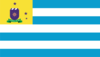 Flag of Remígio