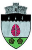 Coat of arms of Izvoarele Sucevei