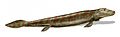 Image 32Tiktaalik, a fish with limb-like fins and a predecessor of tetrapods. Reconstruction from fossils about 375 million years old. (from History of Earth)