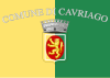 Flag of Cavriago