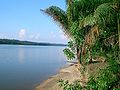 Maroni River, view from French Guiana to Suriname