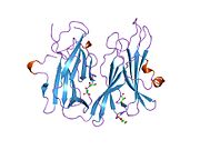 1phm: PEPTIDYLGLYCINE ALPHA-HYDROXYLATING MONOOXYGENASE (PHM) FROM RAT