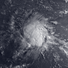 Satellite image of the relatively weak Tropical Storm Alex