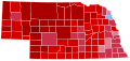 United States Presidential election in Nebraska, 2004