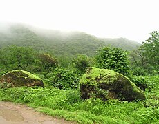 The Dhofar mountainous region in southeastern Oman, where the city of Salalah is located, is a tourist destination known for its annual khareef season