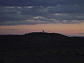 A Khulan (Mongolian Wild Ass) in silhouette at sunset