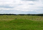 Pair of bowl barrows 405 m east of East Water Drove (Part of Priddy Nine Barrows Cemetery)