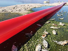 Red Line at the Salton Sea
