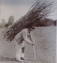 =A man with a thick bundles of sticks on his back