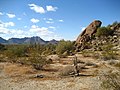 Image 11The Sonoran Desert 35 miles (56 km) west of Maricopa, Arizona (from Geography of Arizona)