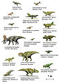 Image 42Species of Ceratopsia dinosaurs