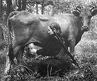 "Just pull the udder one, comrade."