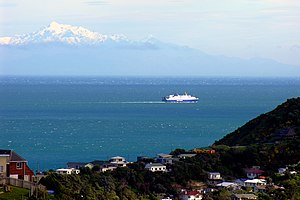Cook Strait from Southgate