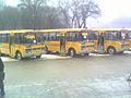 A row of new PAZ school buses in the central square of Chisinau, Moldova