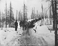Pack train on the White Pass Trail between Log Cabin and Bennett Lake, British Columbia, ca 1898