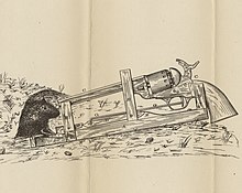 A drawing showing a mouse leaving its burrow and stepping onto Williams's gun-loaded invention.