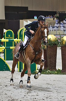 Allen galloping on Romanov, a chestnut horse