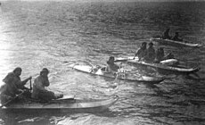 King Island residents in kayaks, about 1892. The kayaks are of the characteristic King Island style. Several carry more than one person or items on deck, and the paddlers are using single-blade paddles. Two-blade paddles were also used.