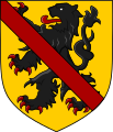 Arms of the Counts of Namur based on the arms of Flanders.