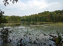 Teatown Lake Reservation in Westchester County, New York